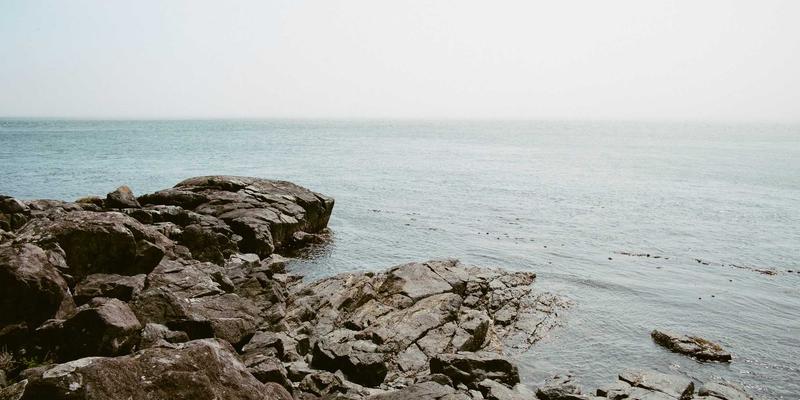 大鳄鱼户外装备指南：丙烷、丁烷、酒精与柴火炉，四大燃料效能与场景全解析