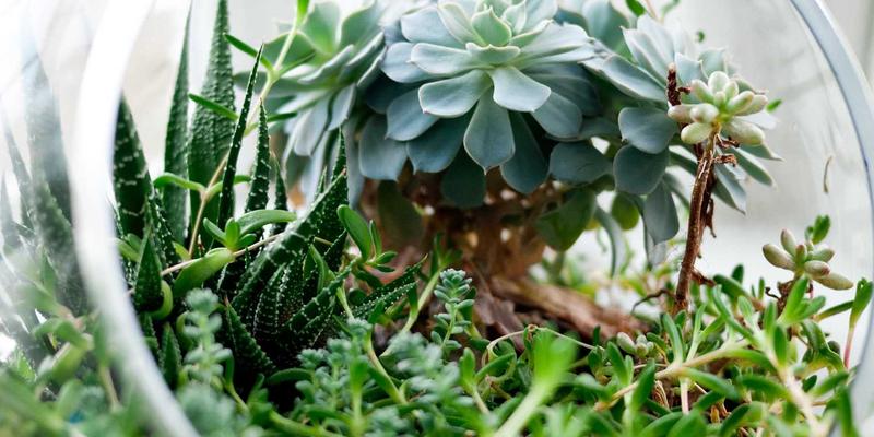 大鳄鱼户外装备指南：登山必备的太阳能充电解决方案，从折叠光伏板到储能电源全解析