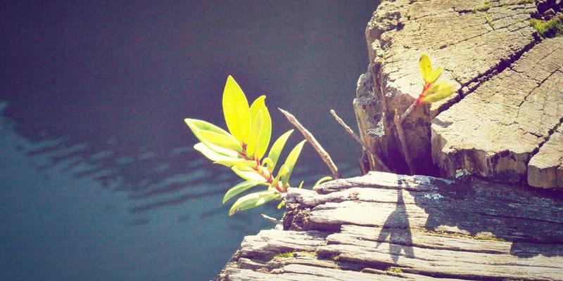 征服荒野的可靠伙伴：从专业运动用品到野营神器，为何“大鳄鱼”级装备不可或缺？