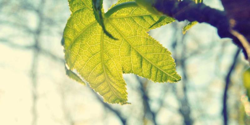 徒步与钓鱼必备：户外服装三层系统详解，从基础层到防护层的科学搭配