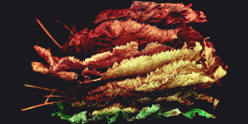 徒步必备：户外电子产品防护全攻略——防水手机袋、太阳能充电板与GPS实战心得