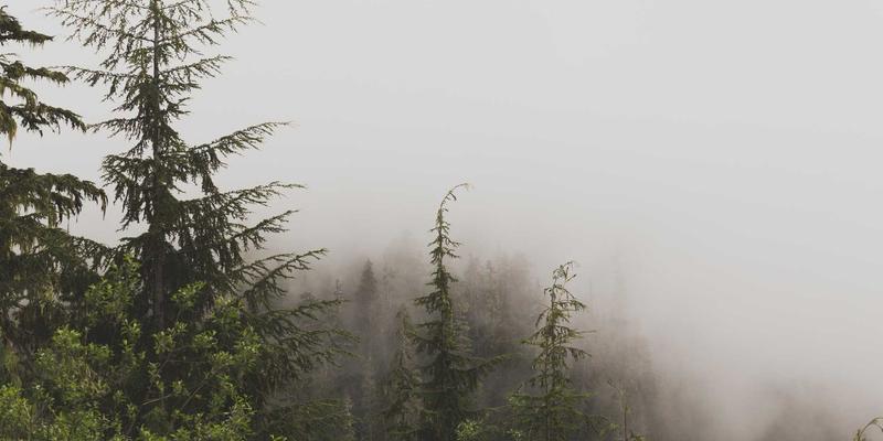 户外炊具燃料效率终极对决：丙烷、酒精与固态燃料在长途徒步中的实战表现 | 大鳄鱼野营指南