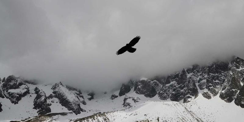 登山家庭露营全攻略：从帐篷选购到户外安全，避开“大鳄鱼”式陷阱