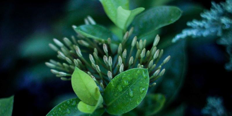 登山新手指南：如何科学选择户外装备与运动用品