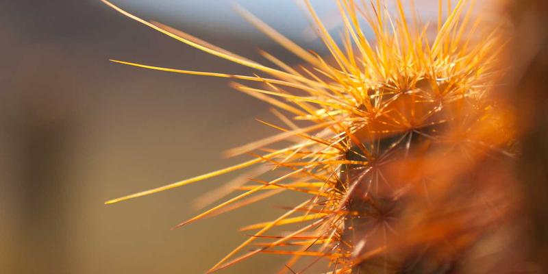 登山背包怎么选？大鳄鱼运动用品专家教你掌握容量与背负系统