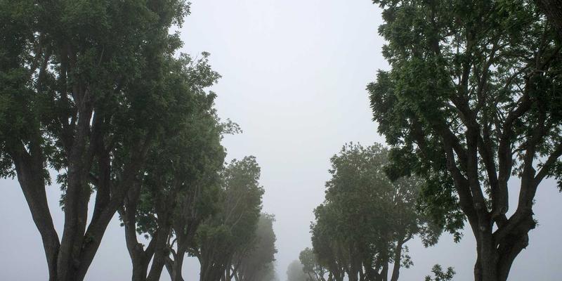 钛合金户外餐具深度测评：导热性、抗划痕与重量控制的取舍